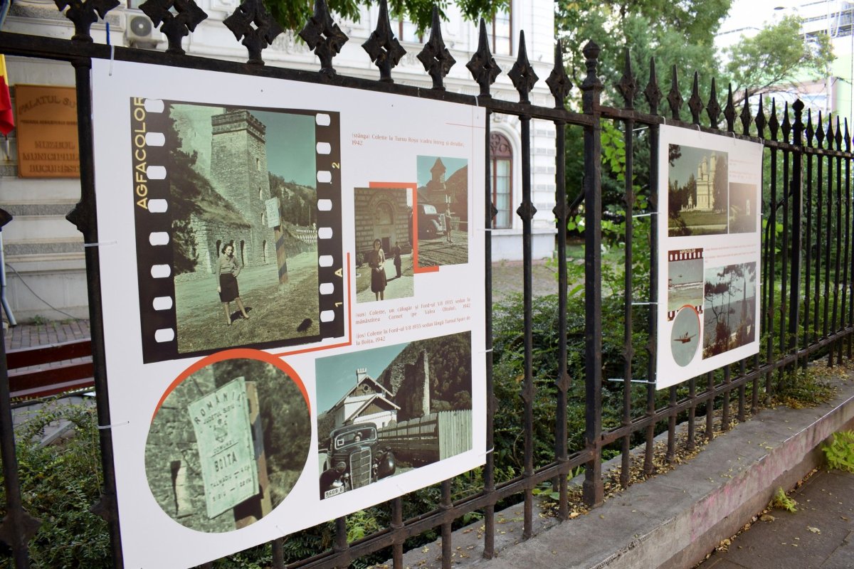 Fotografii de colecție 339600