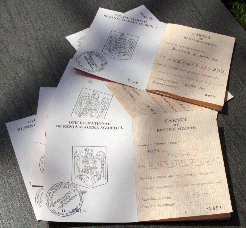 Acte necesare vizării carnetului de rentier 339945