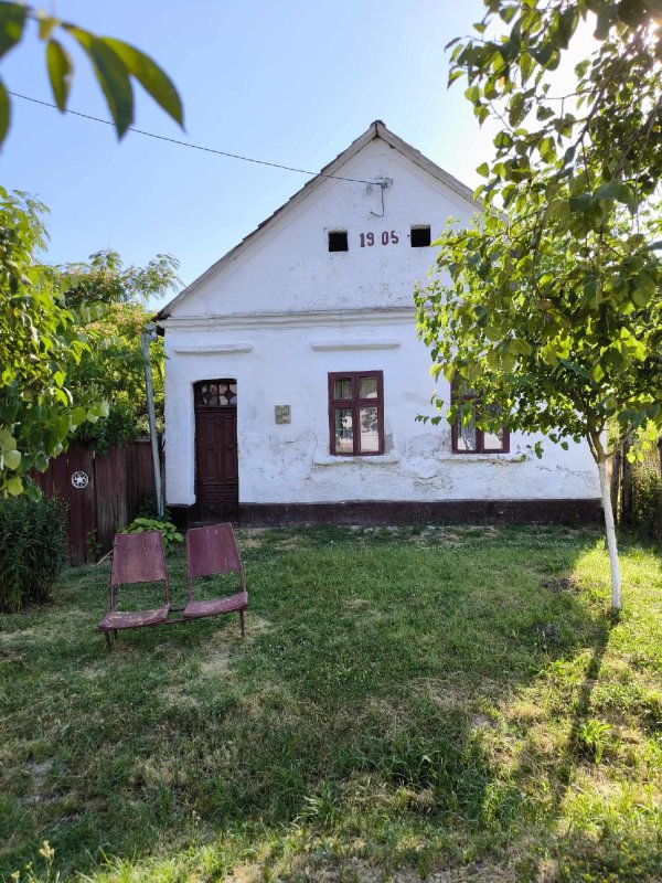 Poveștile fermecătoare ale Banatului de odinioară  339859