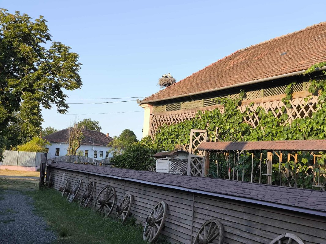 Poveștile fermecătoare ale Banatului de odinioară  339862