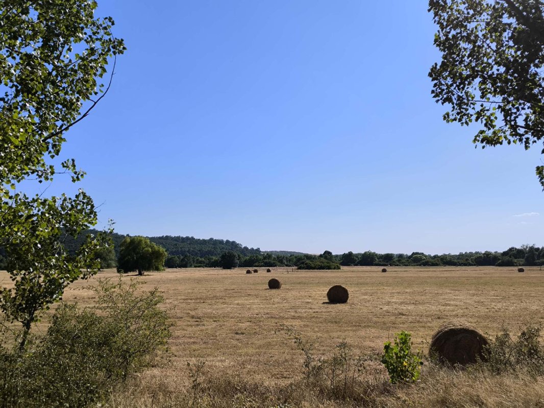 Poveștile fermecătoare ale Banatului de odinioară  339867