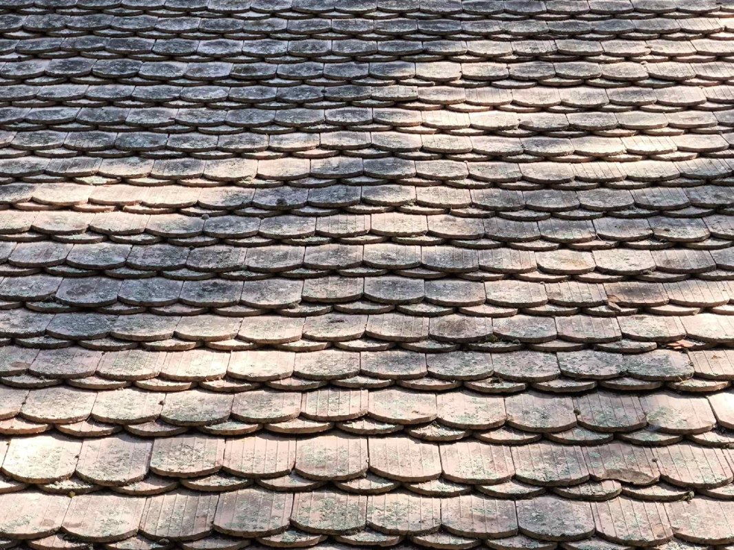 Poveștile fermecătoare ale Banatului de odinioară  339874