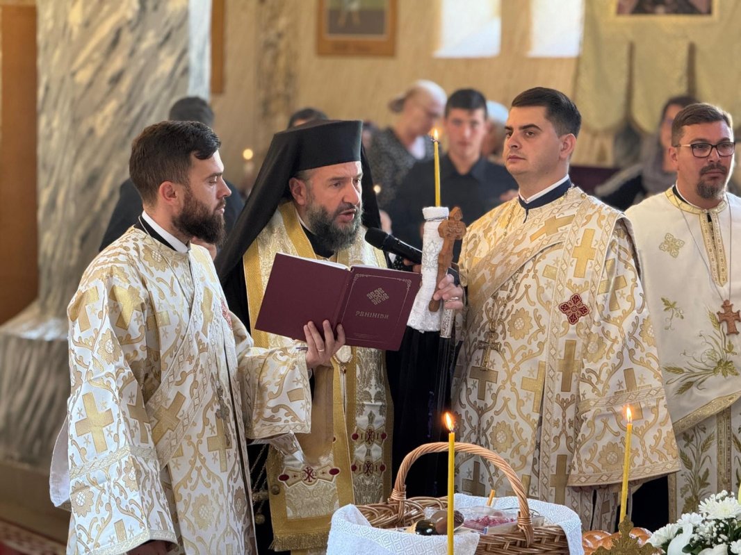 Omagiere și recunoștință în Filia Socolari 341330