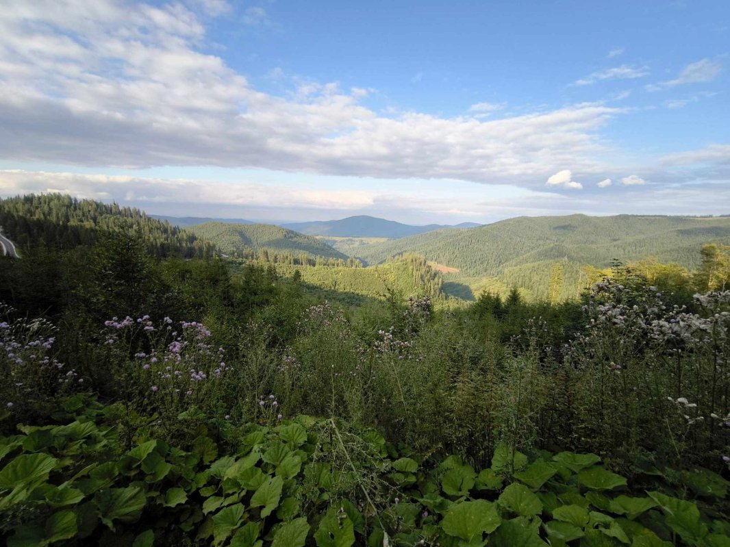 Crucea Talienilor, o punte între munte şi cer 340969