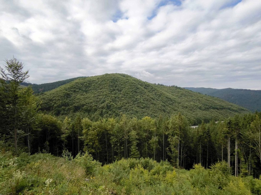 Crucea Talienilor, o punte între munte şi cer 340970