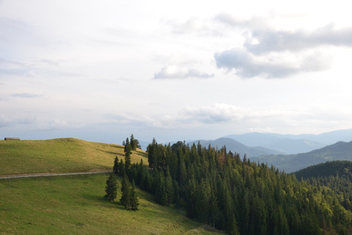 Crucea Talienilor, o punte între munte şi cer 340971