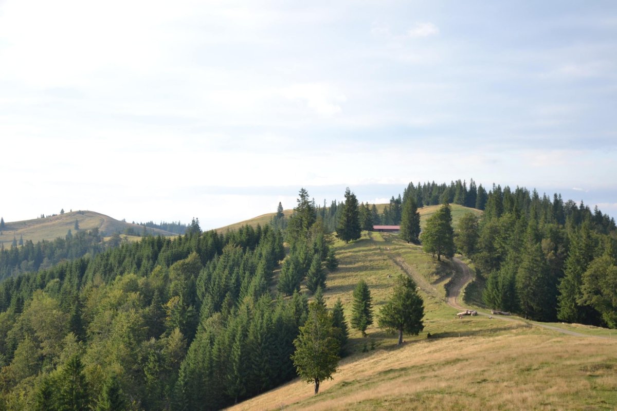 Crucea Talienilor, o punte între munte şi cer 340972