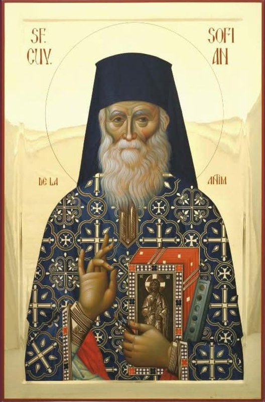 Cuviosul Părinte Sofian Boghiu, mărturisitor și tămăduitor 341018