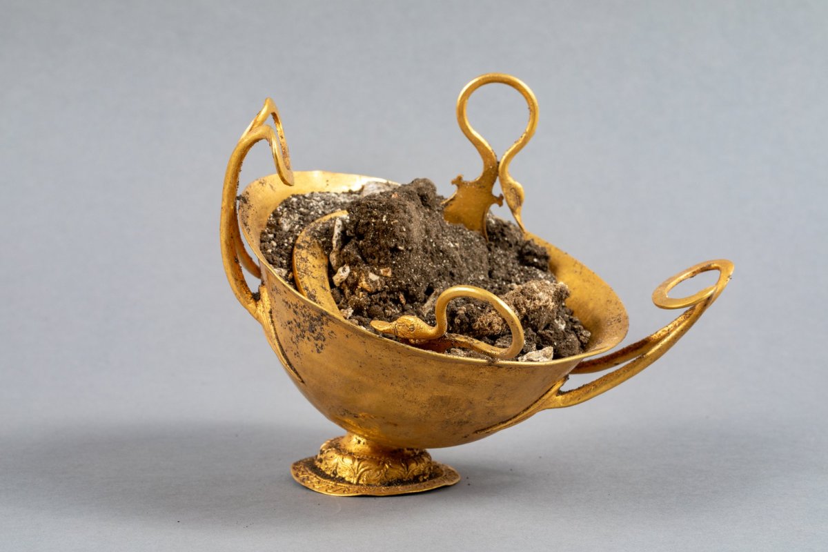 Noi descoperiri arheologice 341737