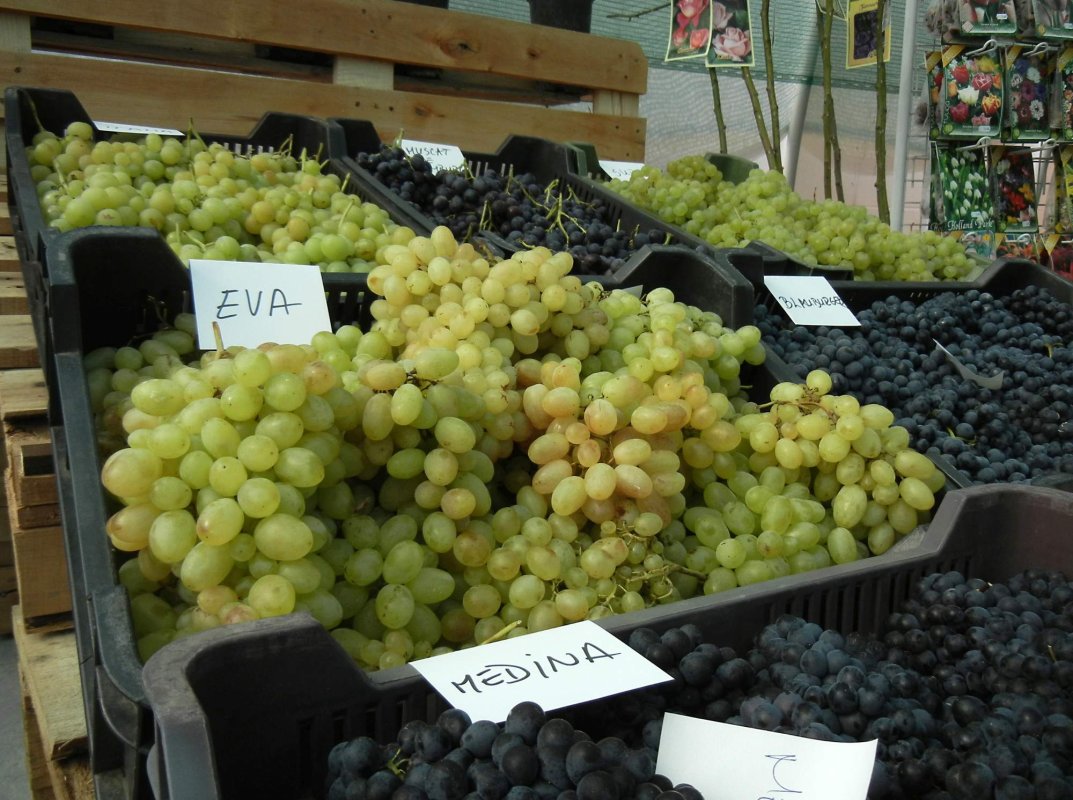 Târguri de toamnă în țară 342042