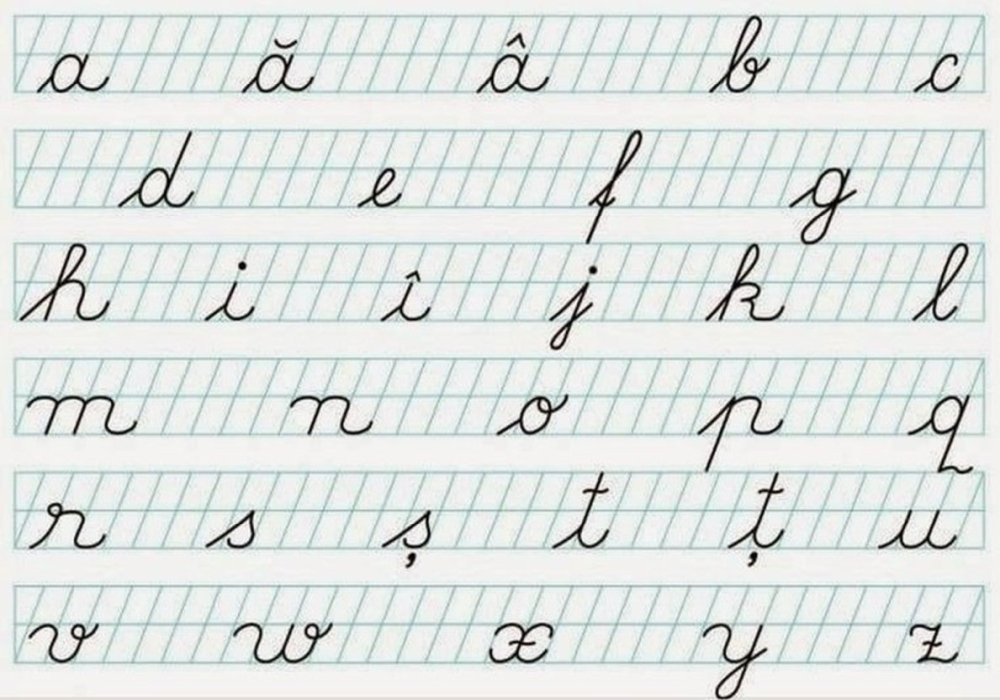 Cum salvăm limba română? 342093