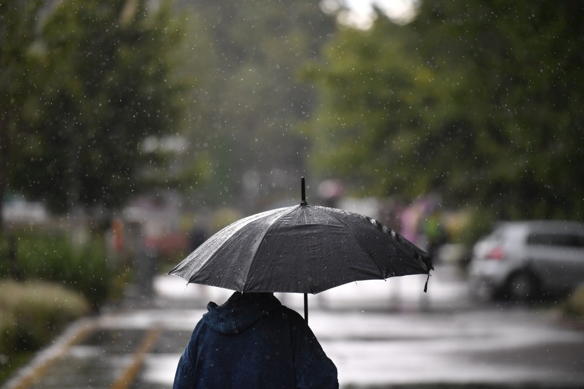 Vreme deosebit de rece în aproape toată ţara 343123