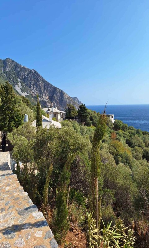 Hrisostom, mitropolitul sihastru din Muntele Athos 343160