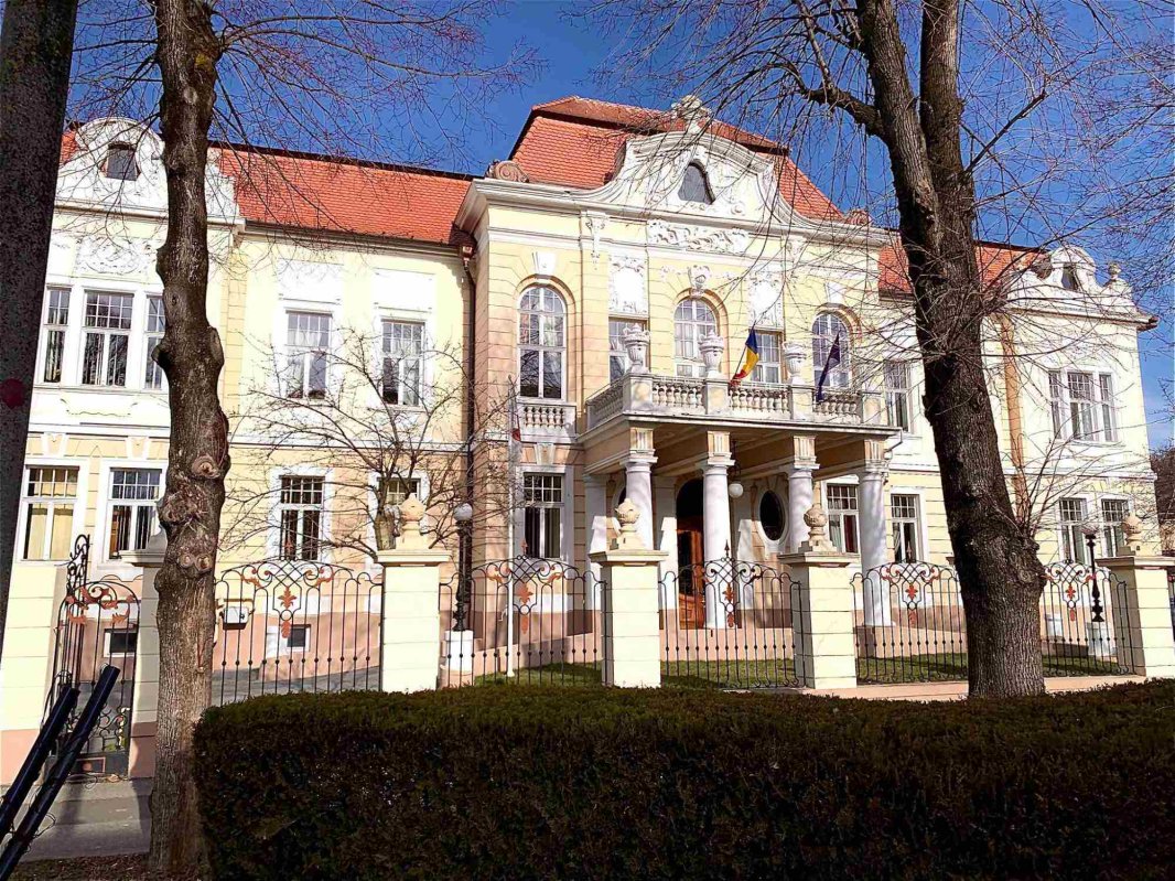 Studenţii, între lumea digitală şi educaţia clasică 343229