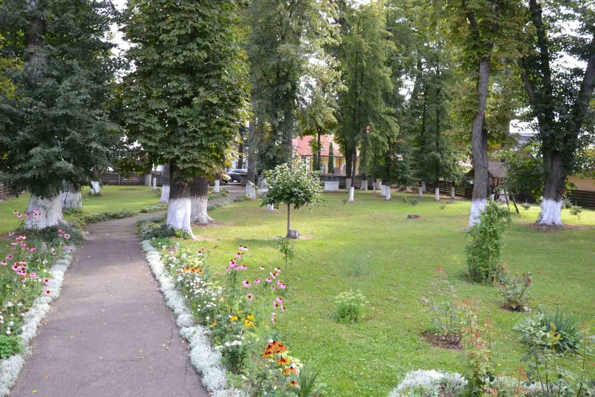 Labiș, copilul-poet de sub Stânișoara 343278