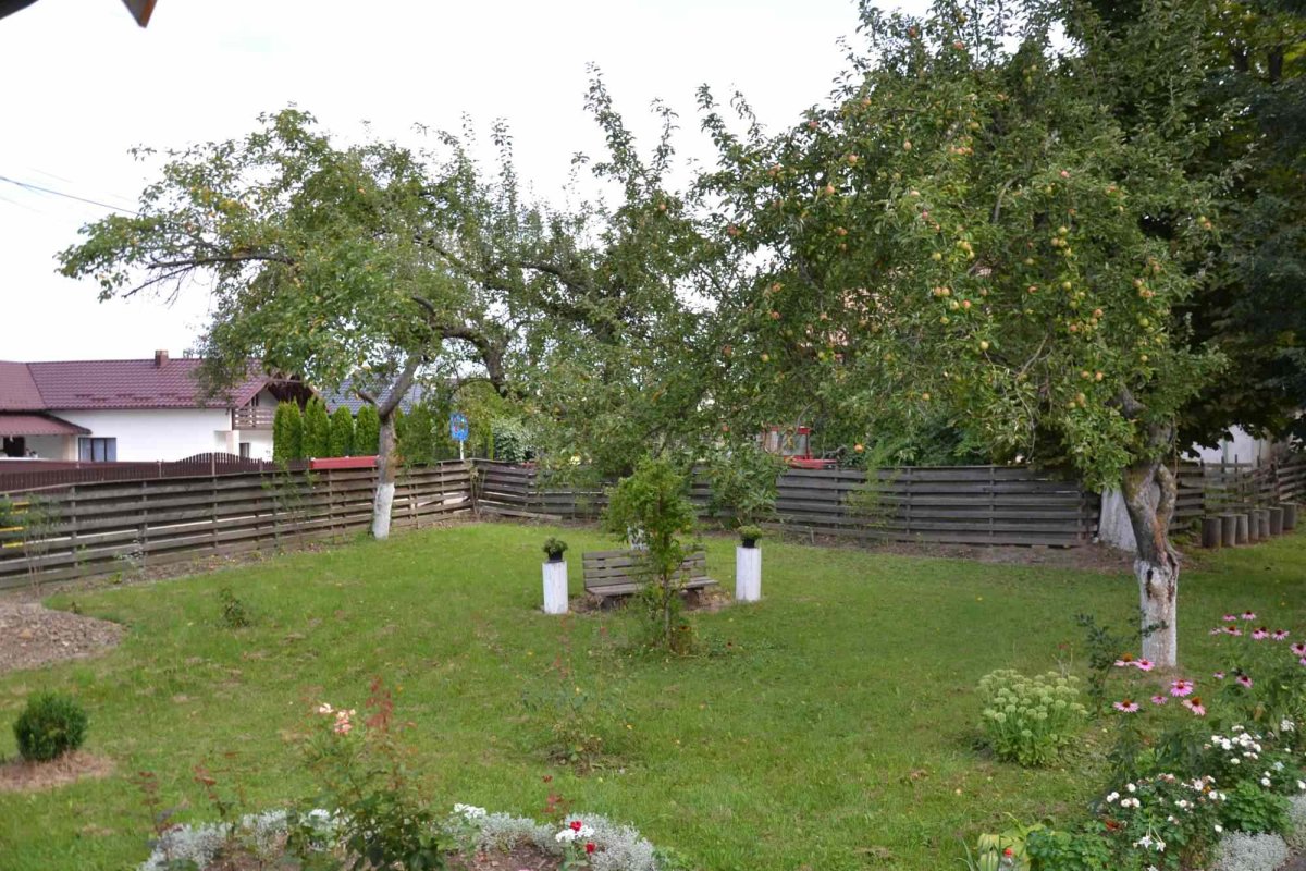 Labiș, copilul-poet de sub Stânișoara 343279