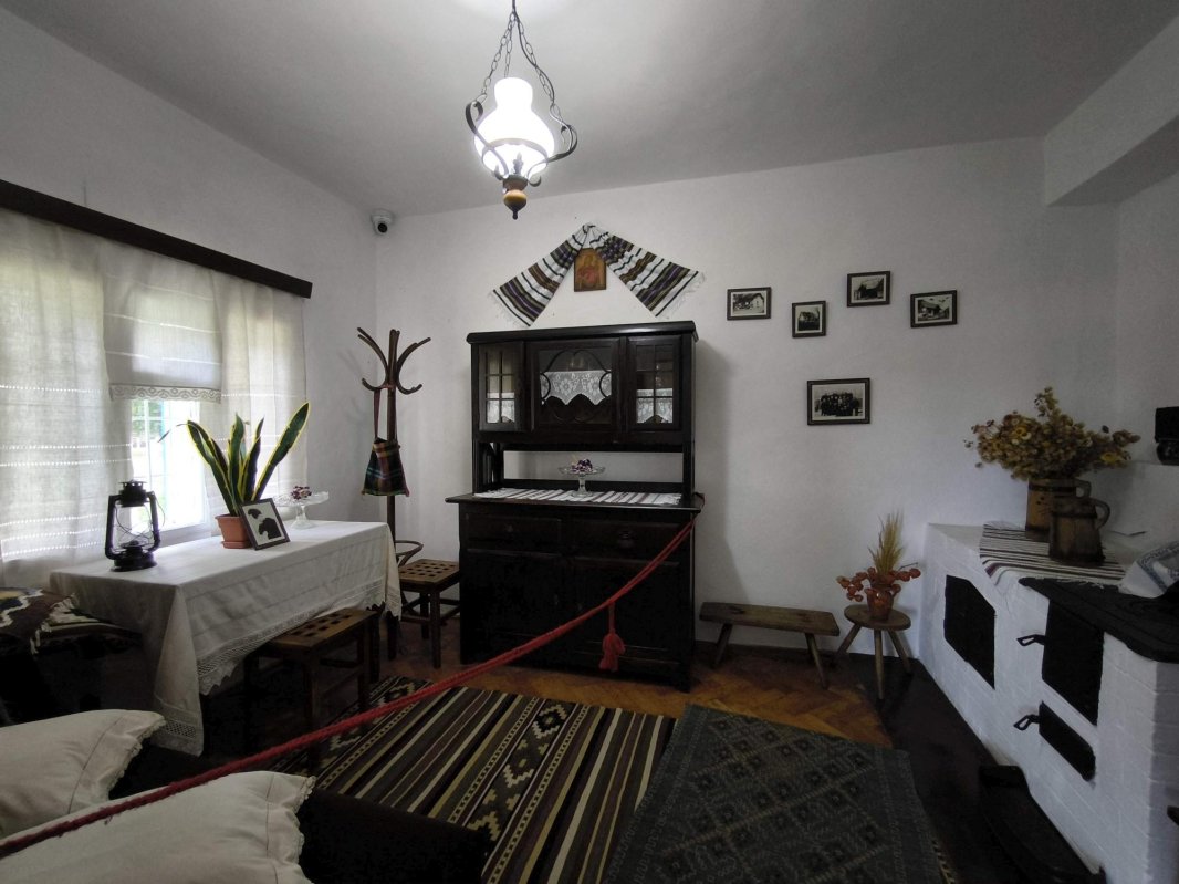 Labiș, copilul-poet de sub Stânișoara 343281