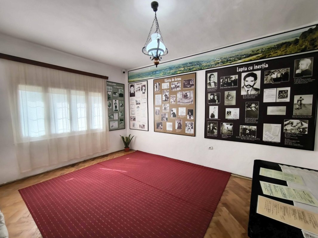 Labiș, copilul-poet de sub Stânișoara 343282