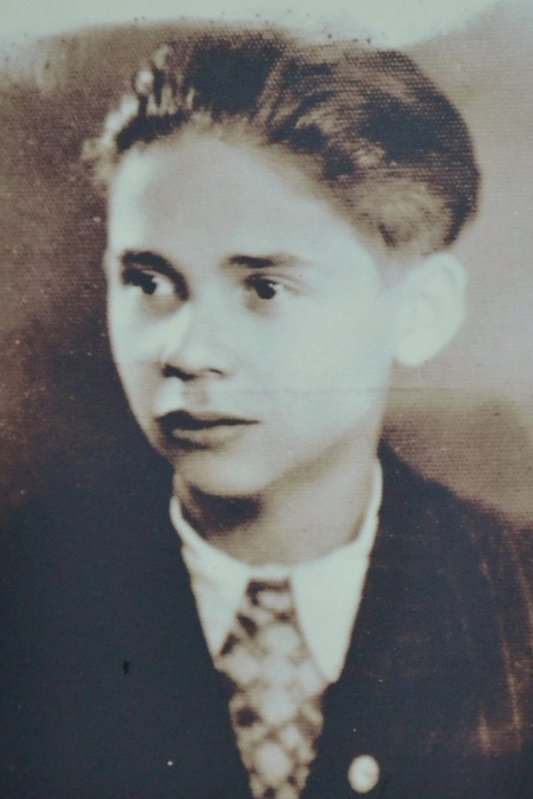 Labiș, copilul-poet de sub Stânișoara 343303