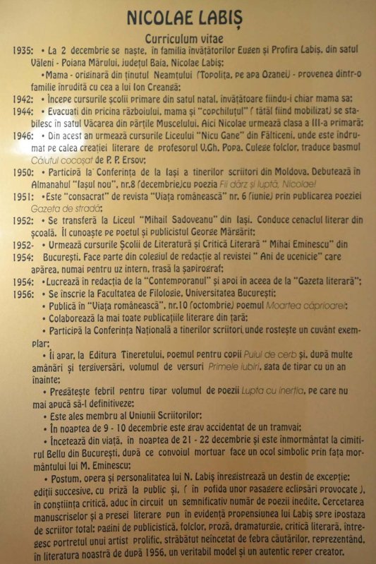 Labiș, copilul-poet de sub Stânișoara 343307