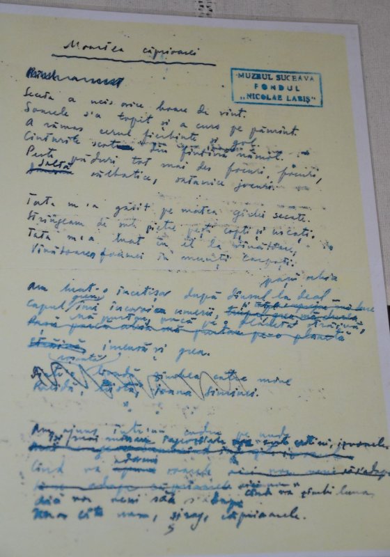 Labiș, copilul-poet de sub Stânișoara 343310