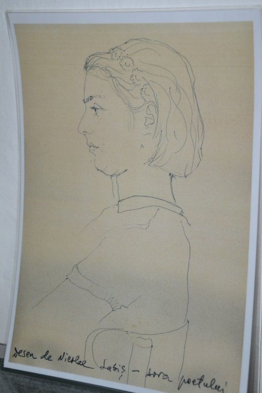 Labiș, copilul-poet de sub Stânișoara 343317