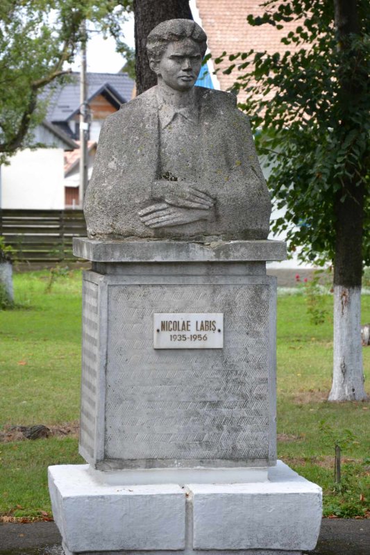 Labiș, copilul-poet de sub Stânișoara 343328