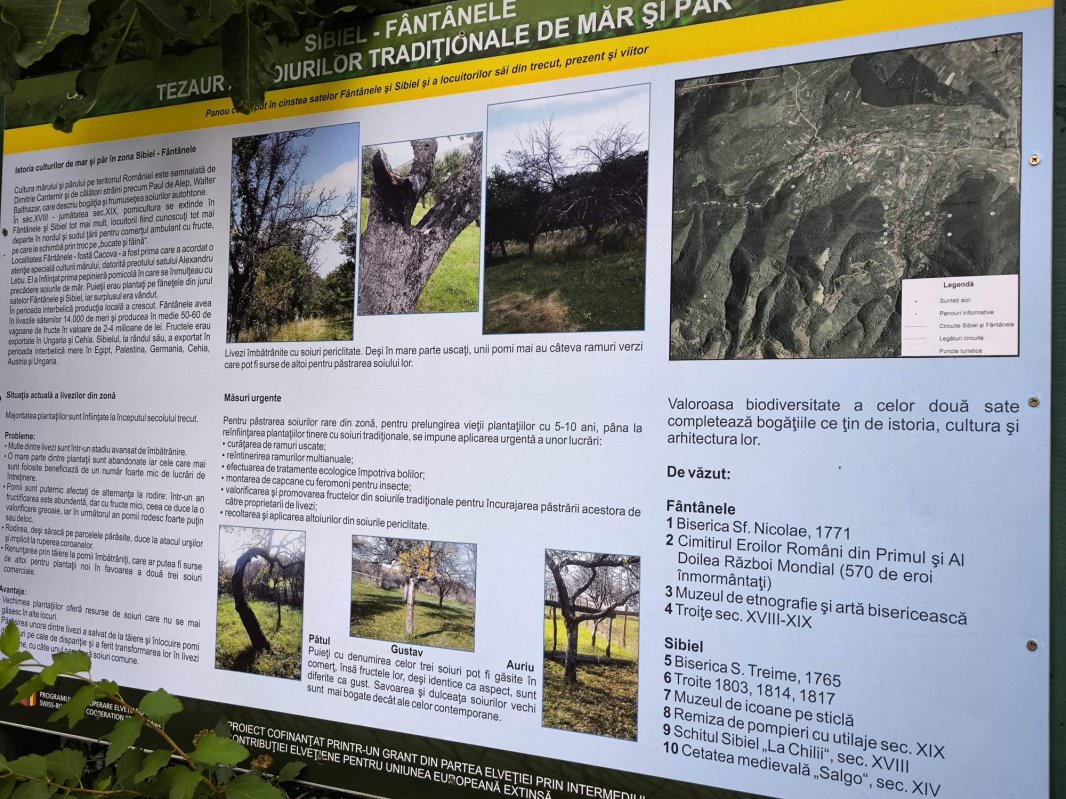 Sibiel, o rezervație a frumosului 344020