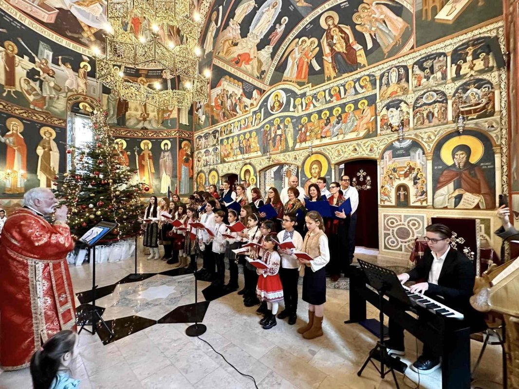 Școală pentru suflet sub stindard ștefanian la Viena  345127