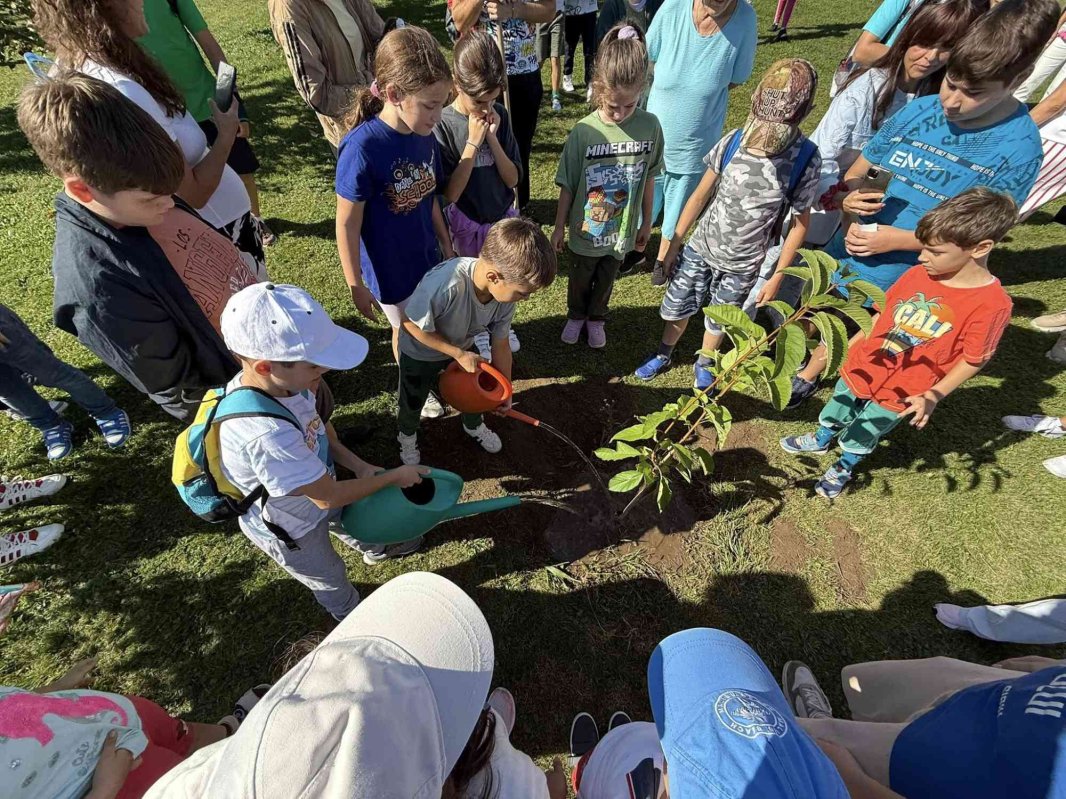 Școală pentru suflet sub stindard ștefanian la Viena  345139