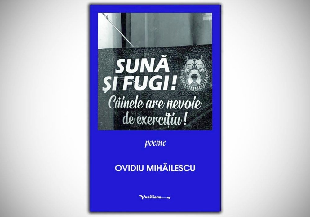 Un poet printre cantautorii de muzică folk  345353