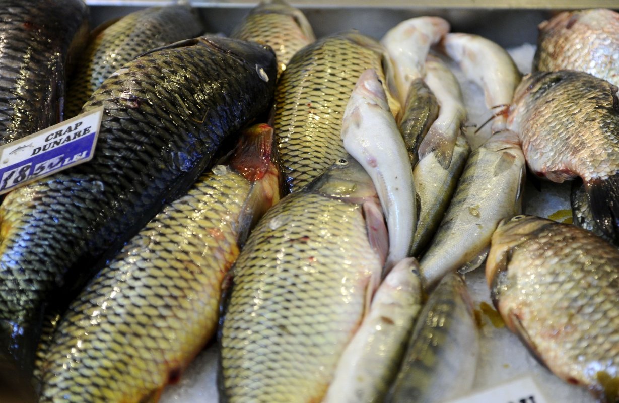 Târg pescăresc în București 346641