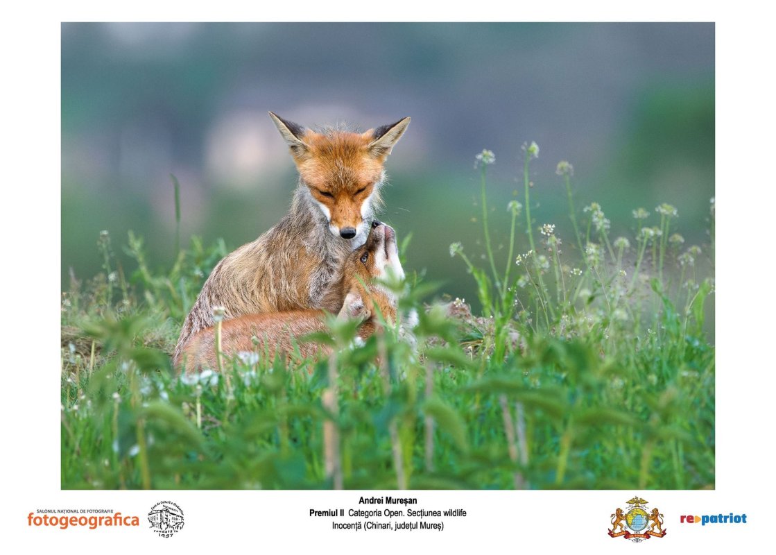 Salonul „Fotogeografica 2025” 346914