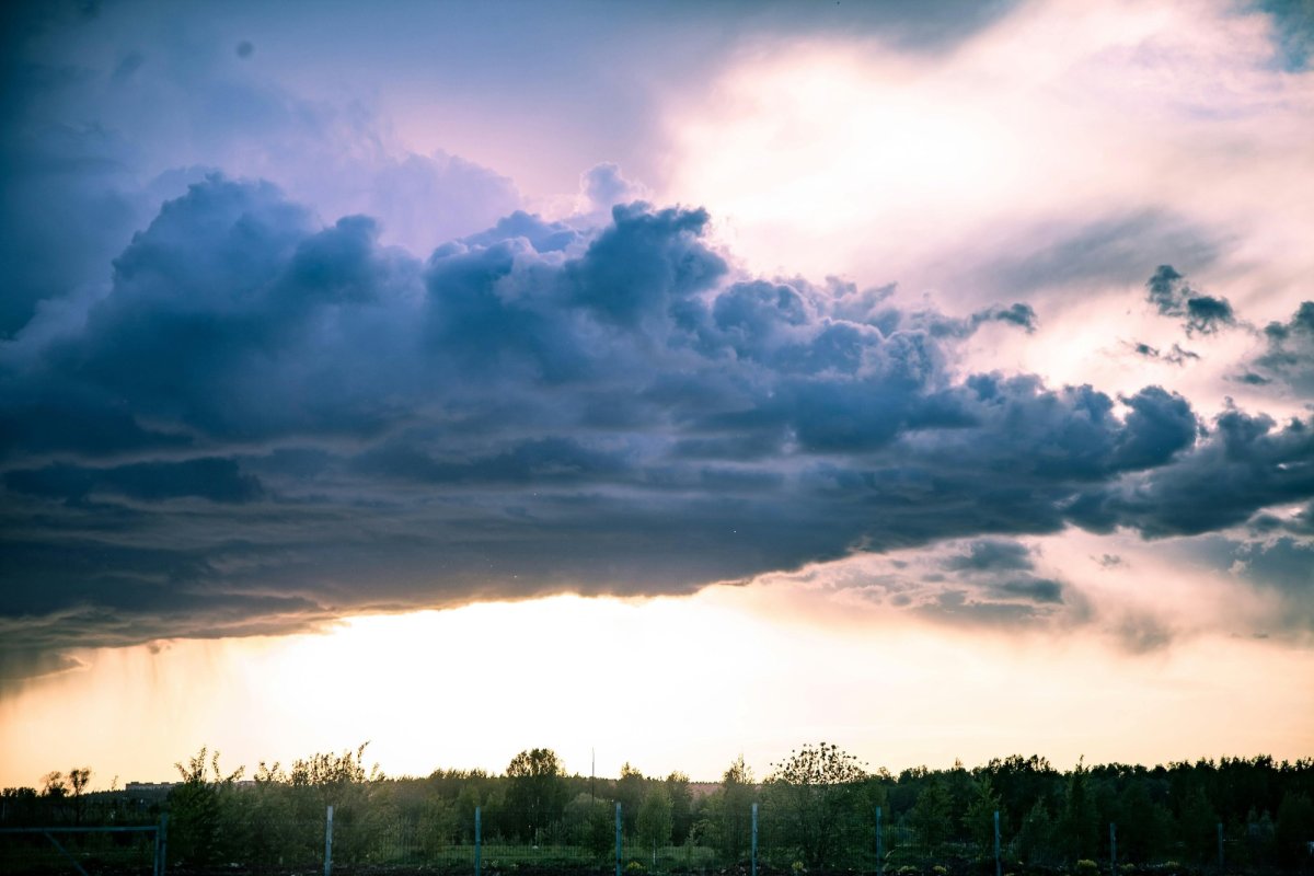 Mâini de fum 348487