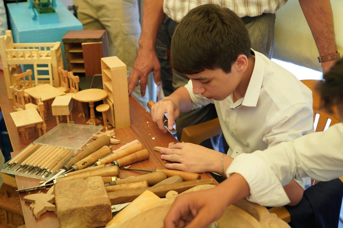 Reorganizarea învăţământului profesional  348490