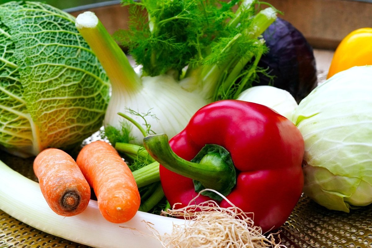 Alimentaţie pentru buna funcționare a creierului 348631