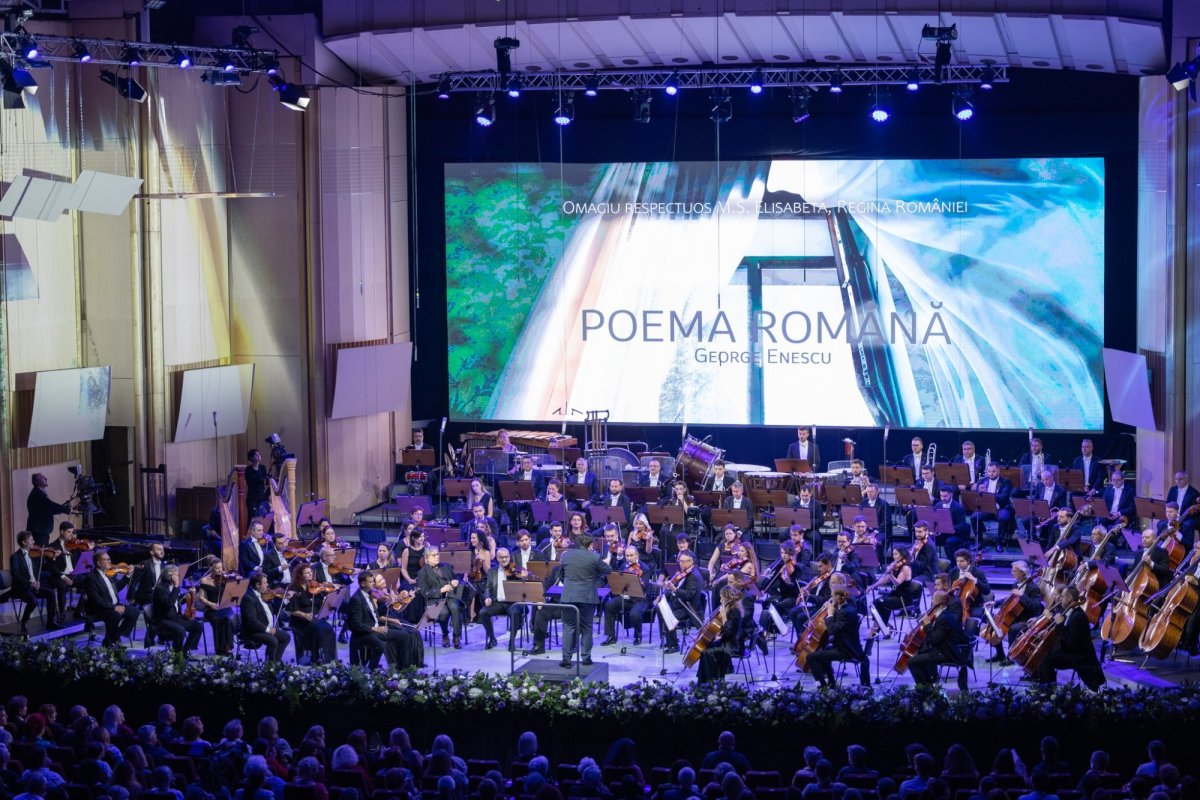 „Inteligența artificială nu va atinge niciodată complexitatea omenescului” 349574