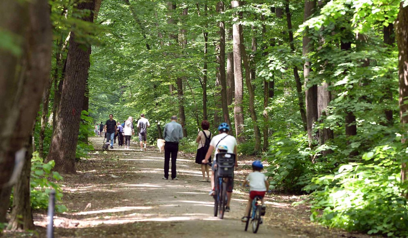 Radiografie a raportului muncă - viaţa personală 349590