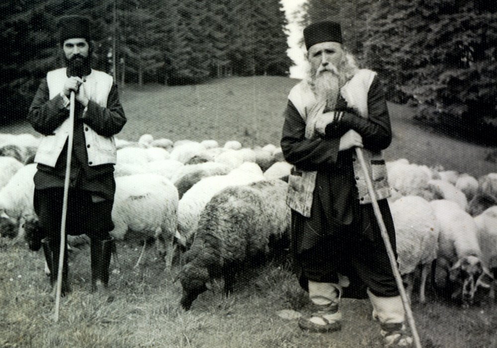 Prietenii de la Mălini ai Sfântului Cleopa 349115