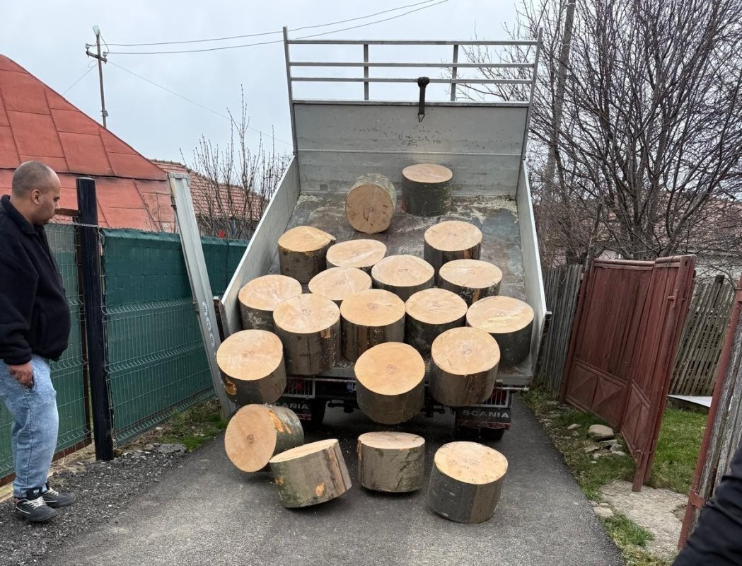 Lemne de foc pentru 50 de bătrâni vulnerabili din Prahova 350556