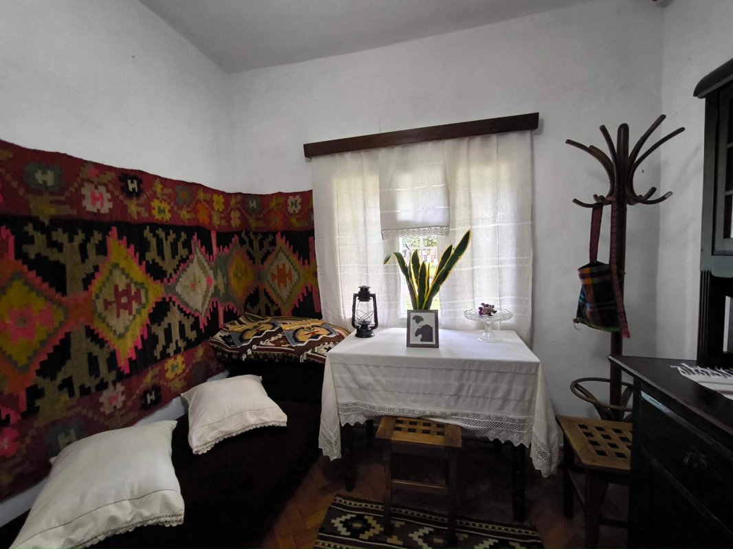 Nicolae Labiș, mai mult decât un personaj din marea carte a literaturii române 349743