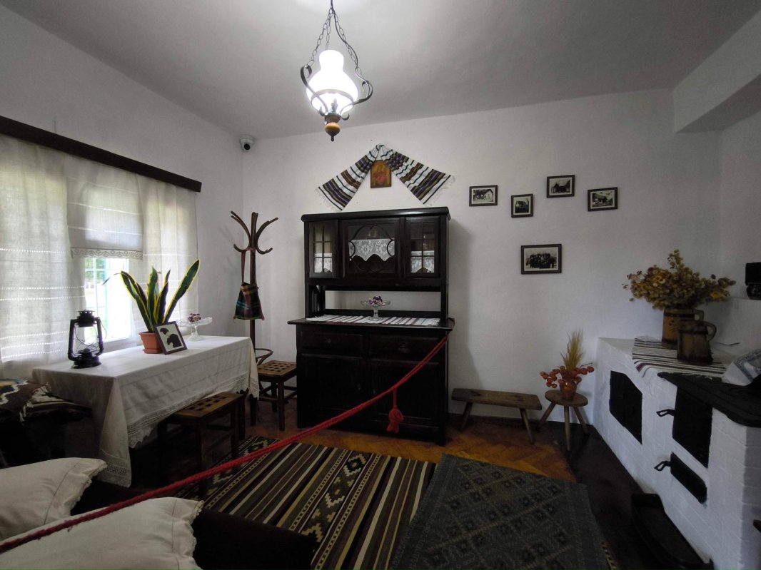 Nicolae Labiș, mai mult decât un personaj din marea carte a literaturii române 349744