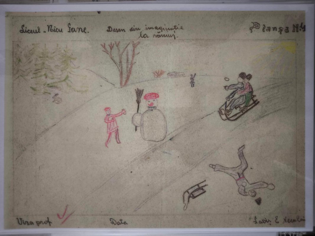 Nicolae Labiș, mai mult decât un personaj din marea carte a literaturii române 349748