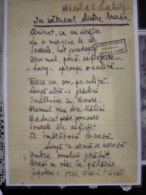 Nicolae Labiș, mai mult decât un personaj din marea carte a literaturii române 349749