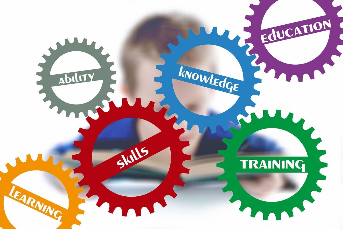 Centre de testare a aptitudinilor elevilor 351074