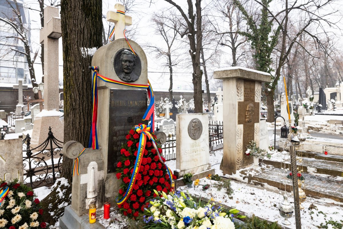 Sub tei cu flori de promoroacă, în cântecul amintirilor 352888