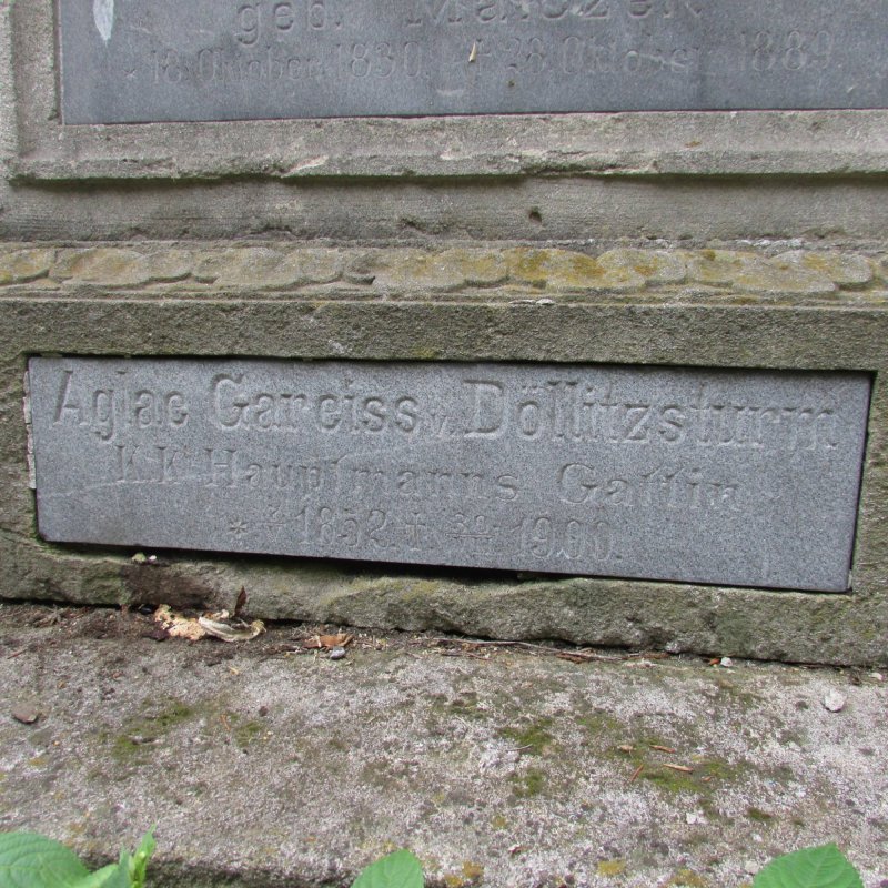 Aglae, sora celebră a lui Eminescu 352891