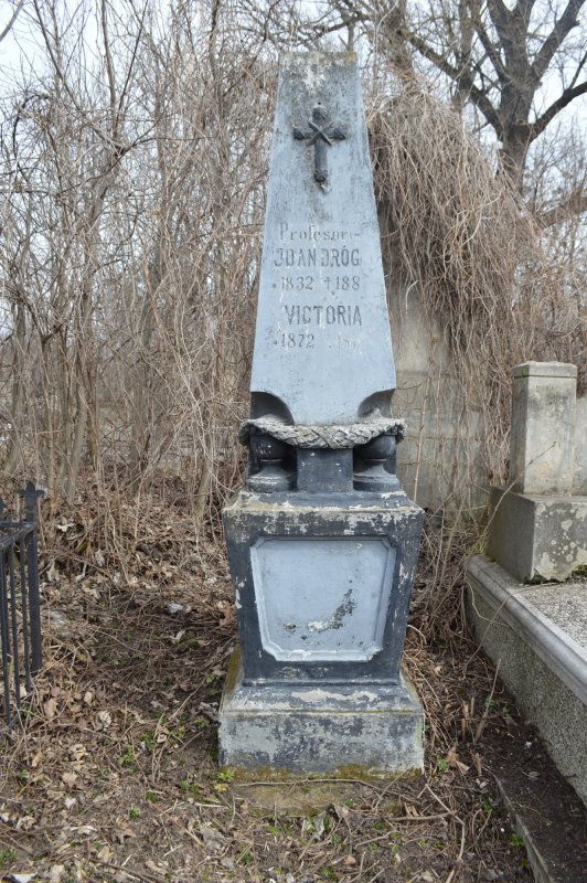 Aglae, sora celebră a lui Eminescu 352892