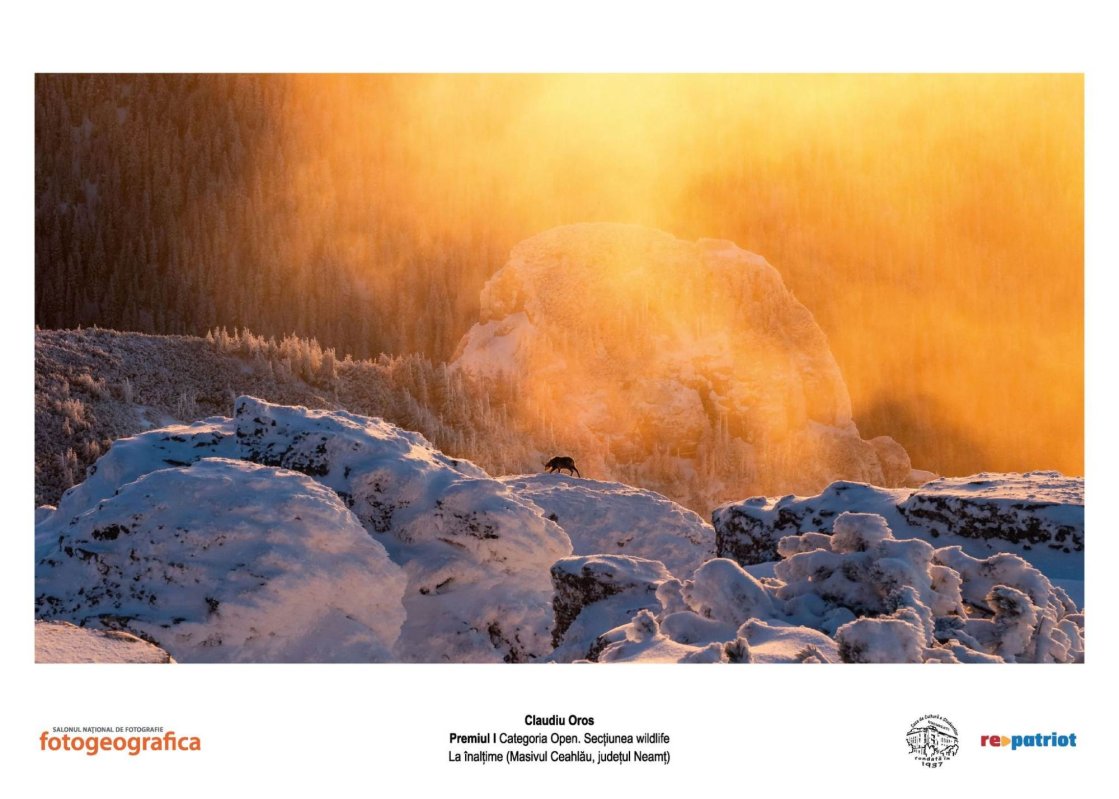 România în fotografii 353185