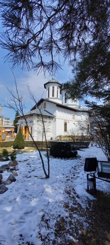 Povestea a două vocații împletite armonios 353412